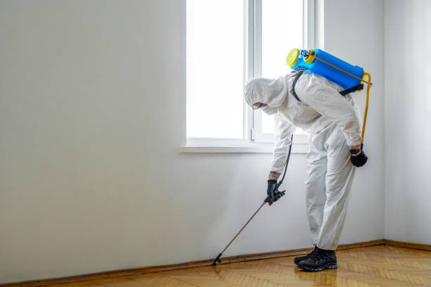 Best Pest Prevention Services  in Wynnewood, OK