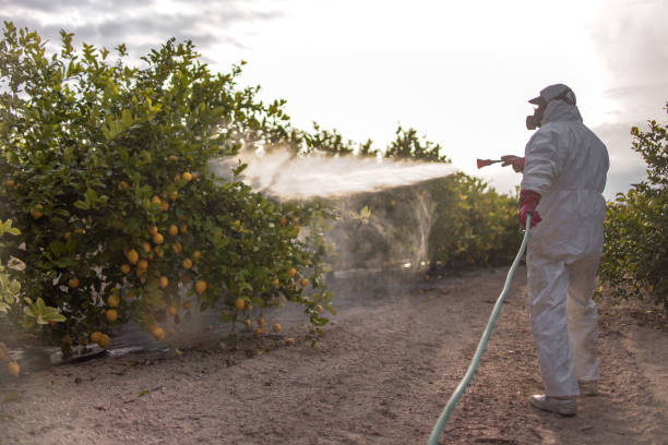 Best Pest Control Treatment  in Wynnewood, OK