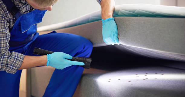 Best Mosquito Control Services  in Wynnewood, OK