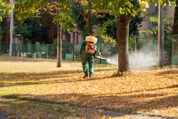 Best Best Pest Control Companies  in Wynnewood, OK