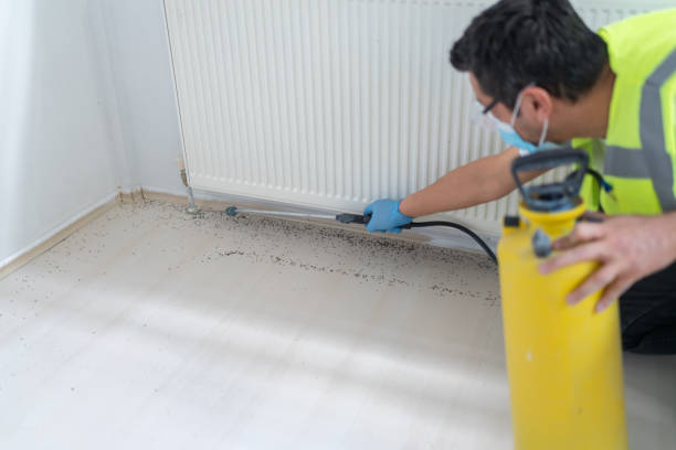 Best Local Pest Control Services  in Wynnewood, OK