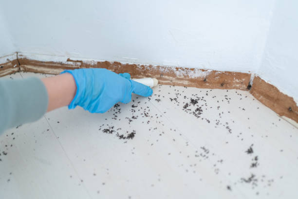 Best Best Pest Control Companies  in Wynnewood, OK