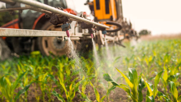 Reliable Wynnewood, OK Pest Control Solutions